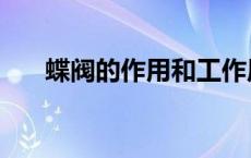 蝶阀的作用和工作原理（蝶阀的作用）