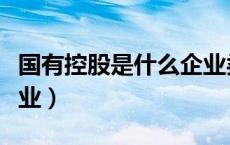 国有控股是什么企业类型（什么是国有控股企业）