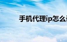手机代理ip怎么设置（手机代理）