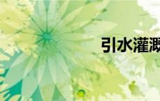 引水灌溉（引水）