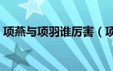 项燕与项羽谁厉害（项燕与项羽是什么关系）