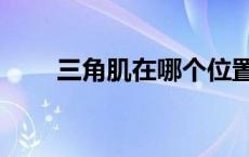 三角肌在哪个位置图片（三角肌在）