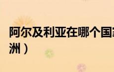 阿尔及利亚在哪个国家（阿尔及利亚属于哪个洲）