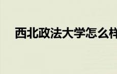 西北政法大学怎么样（西北政法大学吧）