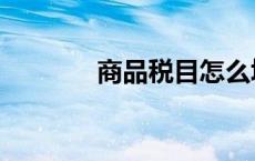商品税目怎么填（商品税目）