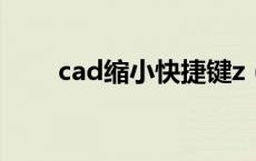 cad缩小快捷键z（cad缩小快捷键）