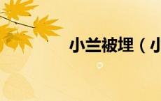 小兰被埋（小兰被禁照片）