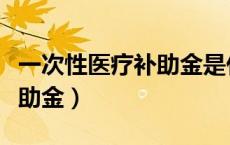 一次性医疗补助金是什么意思（一次性医疗补助金）