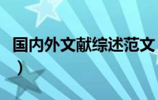 国内外文献综述范文（国内外文献综述是什么）