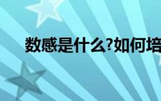 数感是什么?如何培养学生数感（数感）