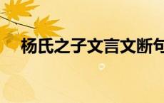杨氏之子文言文断句（杨氏之子文言文）