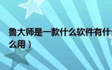 鲁大师是一款什么软件有什么功能（鲁大师是什么软件有什么用）