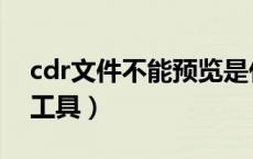 cdr文件不能预览是什么原因（cdr格式预览工具）