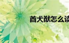 酋犬猷怎么读（猷怎么读）