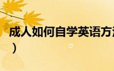 成人如何自学英语方法（成人自学英语的方法）