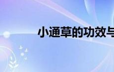 小通草的功效与作用（小通草）