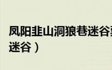 凤阳韭山洞狼巷迷谷票价（凤阳韭山洞和狼巷迷谷）