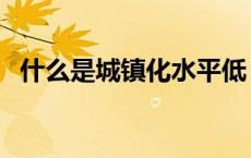 什么是城镇化水平低（什么是城镇化水平）