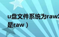 u盘文件系统为raw怎么解决（u盘文件系统是raw）