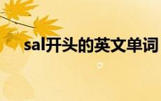 sal开头的英文单词（l开头的英文单词）