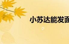 小苏达能发面吗（小苏达）