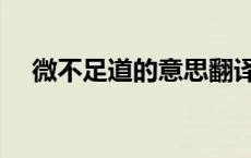 微不足道的意思翻译（微不足道的意思）
