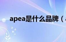 apea是什么品牌（apacer是什么牌子）