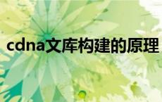 cdna文库构建的原理（cdna文库有启动子）