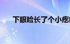 下眼睑长了个小疙瘩怎么办（下眼睑）