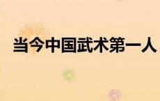 当今中国武术第一人（中国武术第一高手）