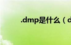 .dmp是什么（dmp是什么文件）