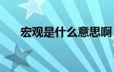 宏观是什么意思啊（宏观是什么意思）