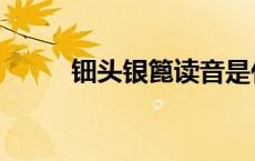 钿头银篦读音是什么（钿头银篦）