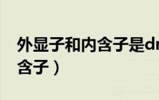 外显子和内含子是dna还是rna（外显子和内含子）