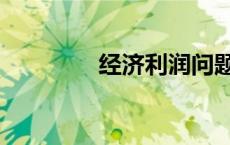 经济利润问题（经济利润）
