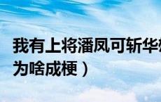 我有上将潘凤可斩华雄表情包（我有上将潘凤为啥成梗）
