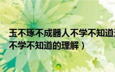 玉不琢不成器人不学不知道这句话反应了（玉不琢不成器人不学不知道的理解）