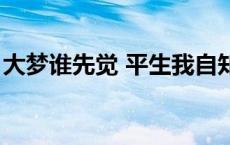 大梦谁先觉 平生我自知的意思（大梦谁先觉）