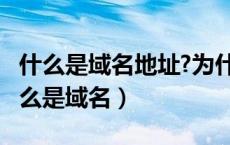 什么是域名地址?为什么要使用域名地址?（什么是域名）