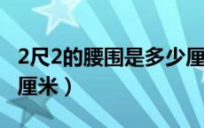 2尺2的腰围是多少厘米?（2尺2的腰围是多少厘米）