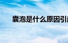囊泡是什么原因引起的（囊泡是什么）