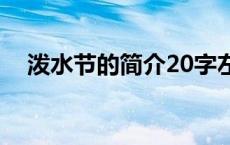 泼水节的简介20字左右（泼水节的简介）