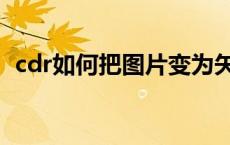 cdr如何把图片变为矢量（cdr图片转矢量）