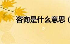 咨询是什么意思（垂询是什么意思）