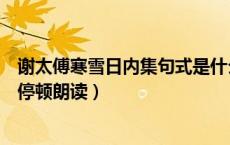 谢太傅寒雪日内集句式是什么（谢太傅寒雪日内集怎样合理停顿朗读）