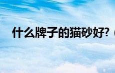 什么牌子的猫砂好?（什么牌子的猫砂好）