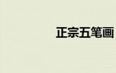 正宗五笔画（正宗五笔）