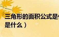 三角形的面积公式是什么（长方形的面积公式是什么）