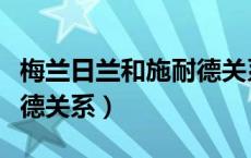 梅兰日兰和施耐德关系好吗（梅兰日兰和施耐德关系）