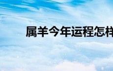 属羊今年运程怎样（属羊今年运程）